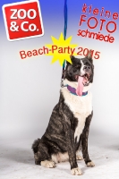 BeachParty_Zoo_Co_2015_07-088