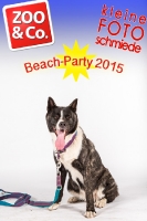 BeachParty_Zoo_Co_2015_07-091