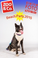 BeachParty_Zoo_Co_2015_07-093