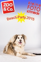 BeachParty_Zoo_Co_2015_07-095