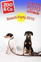 BeachParty_Zoo_Co_2015_07-099