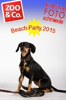 BeachParty_Zoo_Co_2015_07-100