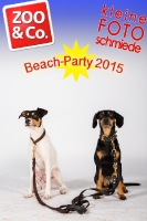 BeachParty_Zoo_Co_2015_07-102