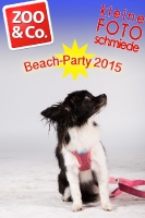 BeachParty_Zoo_Co_2015_07-106