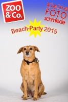 BeachParty_Zoo_Co_2015_07-109