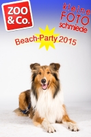 BeachParty_Zoo_Co_2015_07-113