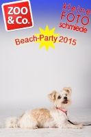 BeachParty_Zoo_Co_2015_07-115