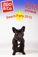 BeachParty_Zoo_Co_2015_07-116