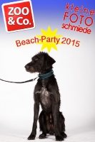 BeachParty_Zoo_Co_2015_07-117