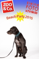 BeachParty_Zoo_Co_2015_07-118