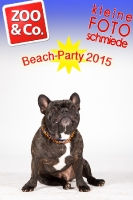 BeachParty_Zoo_Co_2015_07-120