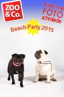 BeachParty_Zoo_Co_2015_07-122
