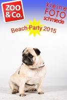 BeachParty_Zoo_Co_2015_07-124