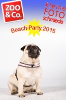 BeachParty_Zoo_Co_2015_07-125