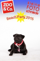 BeachParty_Zoo_Co_2015_07-126