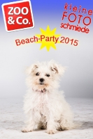 BeachParty_Zoo_Co_2015_07-128
