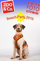 BeachParty_Zoo_Co_2015_07-129