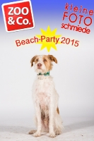 BeachParty_Zoo_Co_2015_07-132
