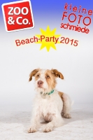 BeachParty_Zoo_Co_2015_07-133