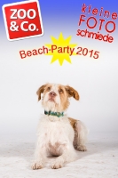 BeachParty_Zoo_Co_2015_07-134
