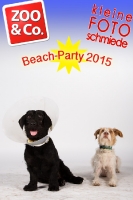 BeachParty_Zoo_Co_2015_07-135