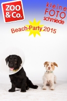 BeachParty_Zoo_Co_2015_07-136