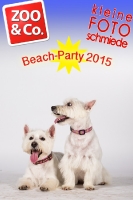 BeachParty_Zoo_Co_2015_07-139