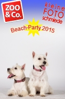 BeachParty_Zoo_Co_2015_07-140