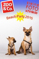 BeachParty_Zoo_Co_2015_07-141