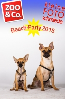 BeachParty_Zoo_Co_2015_07-142