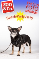 BeachParty_Zoo_Co_2015_07-145