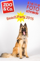 BeachParty_Zoo_Co_2015_07-153