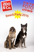 BeachParty_Zoo_Co_2015_07-155
