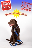 BeachParty_Zoo_Co_2015_07-158