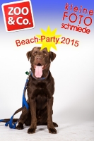 BeachParty_Zoo_Co_2015_07-160