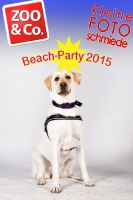 BeachParty_Zoo_Co_2015_07-168