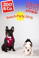 BeachParty_Zoo_Co_2015_07-172