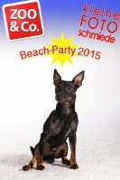 BeachParty_Zoo_Co_2015_07-173