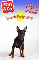 BeachParty_Zoo_Co_2015_07-174