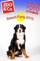 Beach-Party Zoo & Co.