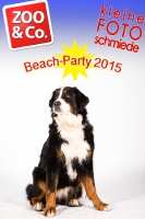 BeachParty_Zoo_Co_2015_07-178