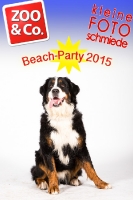 BeachParty_Zoo_Co_2015_07-179