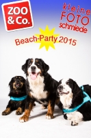 BeachParty_Zoo_Co_2015_07-180