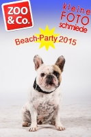 BeachParty_Zoo_Co_2015_07-189