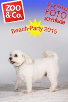 BeachParty_Zoo_Co_2015_07-190
