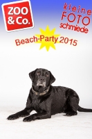 BeachParty_Zoo_Co_2015_07-193