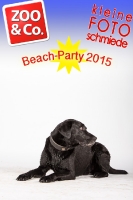 BeachParty_Zoo_Co_2015_07-194