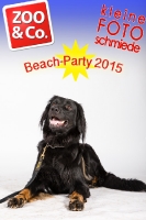 BeachParty_Zoo_Co_2015_07-203