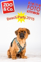 BeachParty_Zoo_Co_2015_07-205