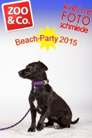 BeachParty_Zoo_Co_2015_07-210